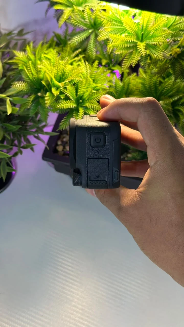 Vista 2